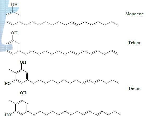 Cardanol 내 존재하는 성분