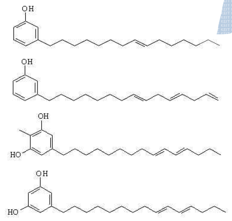 Cardanol 구성 성분