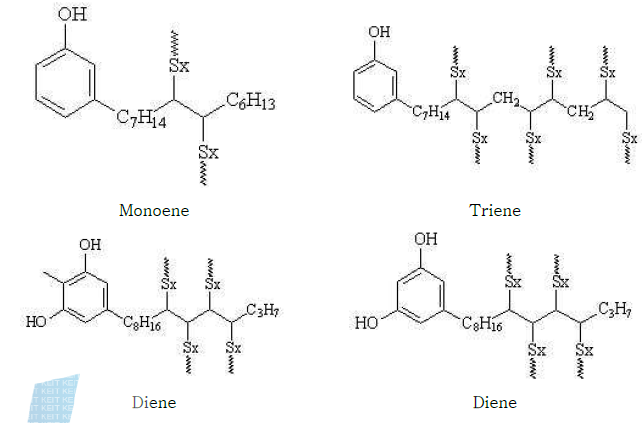 Double bond 함량 별 Cardanol Polysulfide 형성 구조