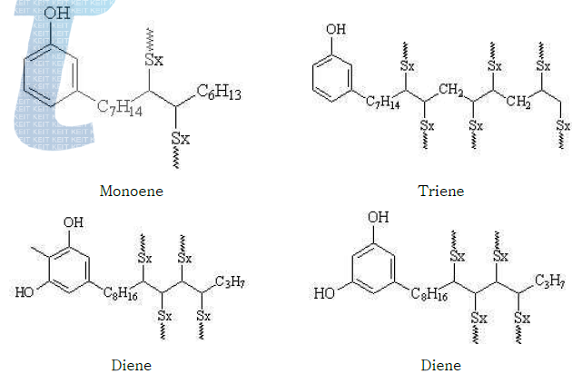 Double bond 함량 별 Cardanol Polysulfide 형성 구조