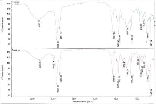 Cardanol, CPS-37의 FT-IR 비교