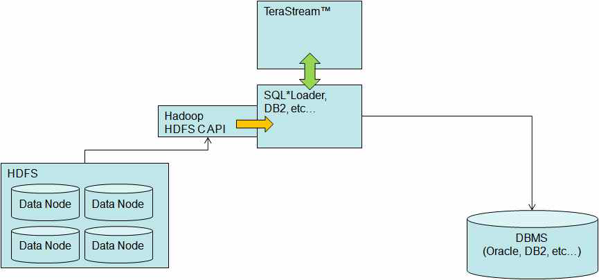 DBMS 데이터 적재 아키텍처