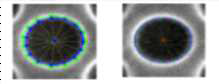 SE 영상에서 연결홀의 중심 측정 (왼쪽) 최대 명암값 (초록색), 최대 미분값(파란색) 이용, (오른쪽) sigmoid 함수 이용