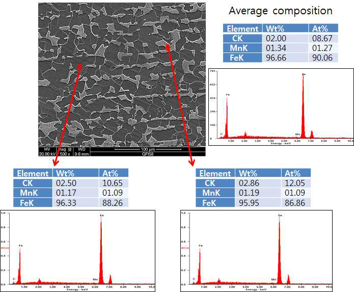 주사전자현미경의 에너지분산분광기를 이용한 베이스메탈의 성분분석 결과