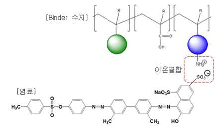 산성염료와 binder수지의 이온 결합의 예