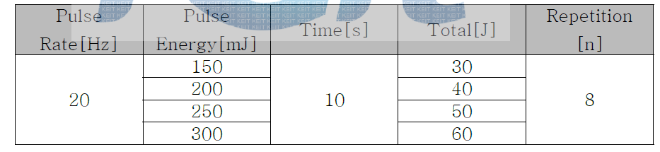 테스트 파라미터