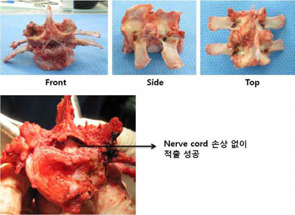 일주일 후 시료 채취