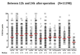 수술 후 12시간에서 24시간까지의 VAS for Pain 평균