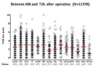 수술 후 48시간에서 72시간까지의 VAS for Pain 평균