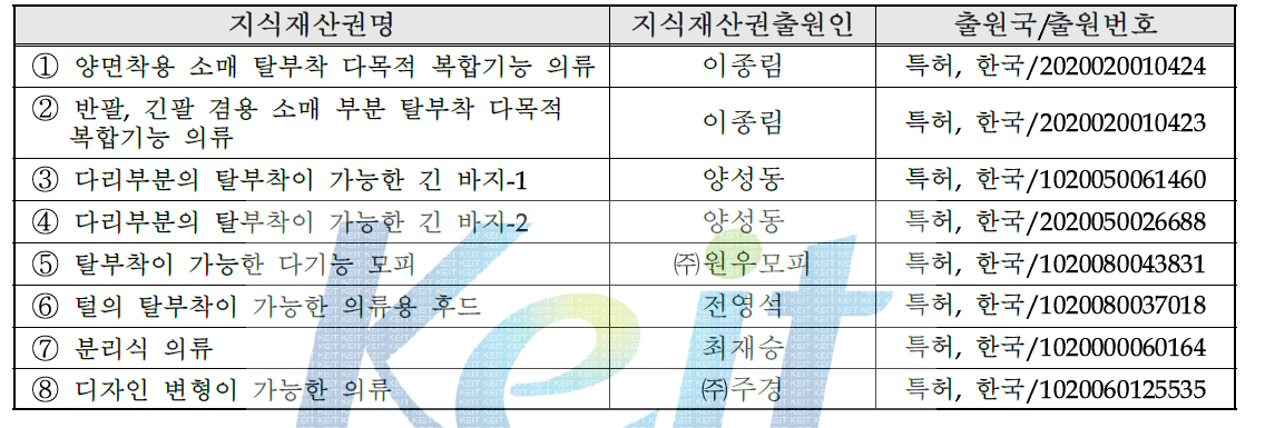 국내외 관련지식재산권 현황