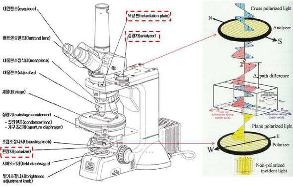편광현미경의 구조