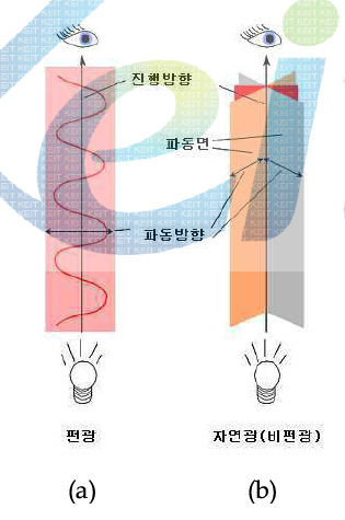 편광과 비편광