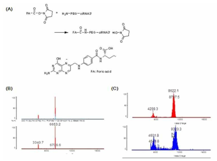 NHS ester PEG-siRNA 합성공정 개량을 위한 원재료 생산 및 합성결과.