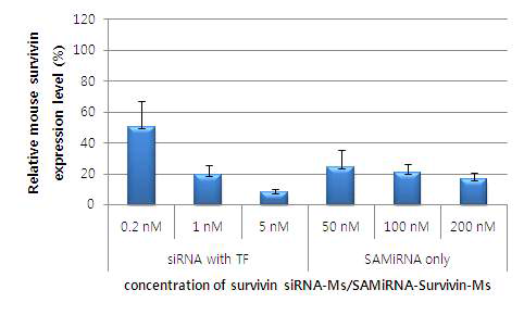 고효율의 mouse survivin siRNA의 효능을 확인.