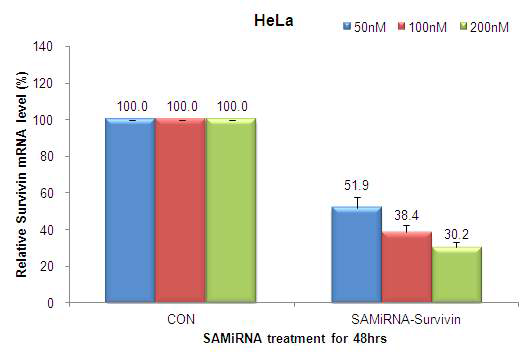 HeLa cell 에서 target gene knockdown 정도를 50nM, 100nM, 200nM 로 확인.