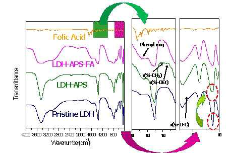 LDH-FA 화합물의 적외선 분광 (FT-IR) 분석 결과