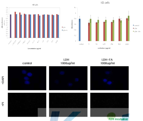LDH, LDH-FA의 세포내의 독성 평가