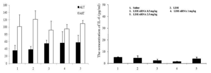 LDH-FA 및 siRNA-LDH-FA의 간독성 (left) 및 면역 매개물질 레벨 (IL-6) 측정 (right) 결과