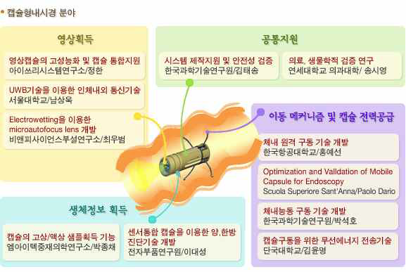 캡슐형 내시경