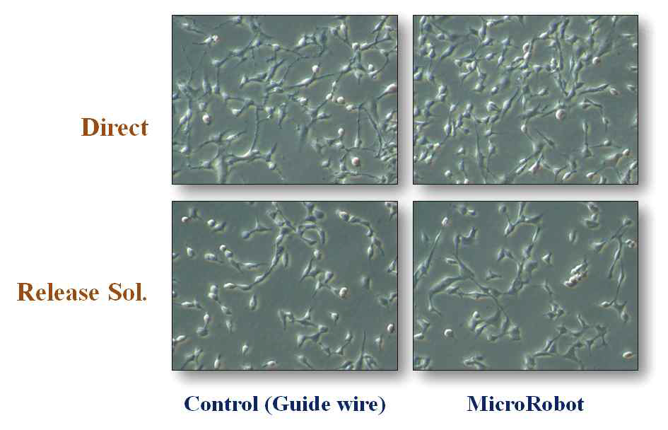 Direct Incubation 방법을 이용한 유선로봇 세포 독성실험 결과 (Day 1)