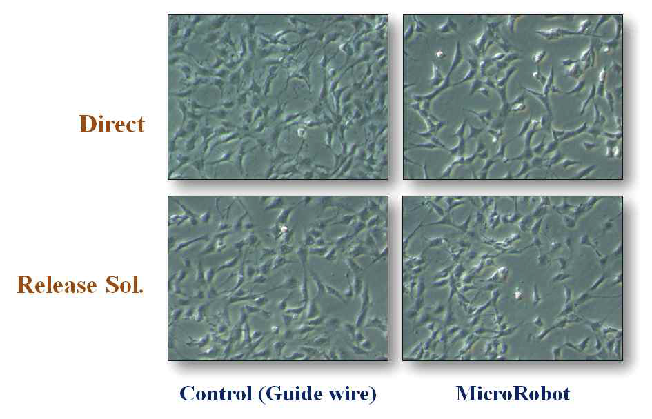 Direct Incubation 방법을 이용한 유선로봇 세포 독성실험 결과 (Day 3)