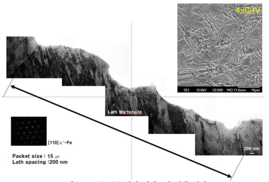 1.2GPa(MS)강의 미세조직 관찰 결과
