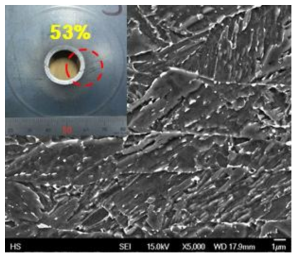 1.0GPa(HB) 고버링강의 SEM을 통한 미세조직 관찰