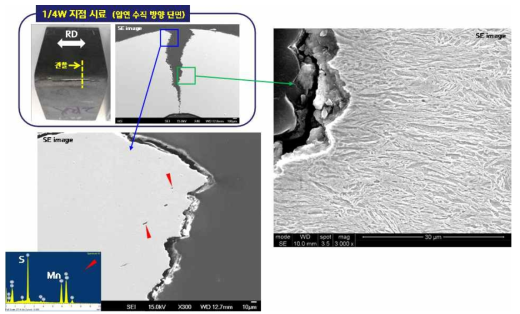 파단부 단면의 미세조직 관찰