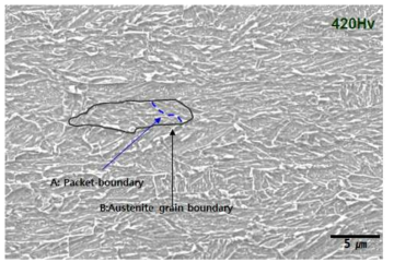 4차년도 시생산 조직 (Tempered Martensite)