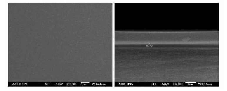 코팅된 막의 표면 및 단면 전자현미경 사진