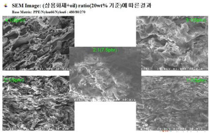 상용화제 함량에 따른 SEM Image