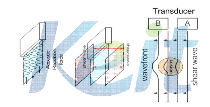 선형 트랜스듀서에서 모든 소자를 송신하여 평면상에서 acoustic radiation force를 발생