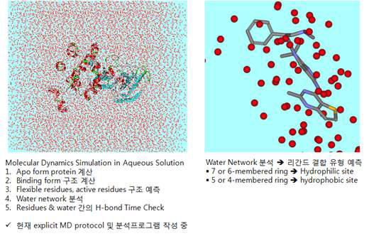 리간드 결합부위에 위치하는 물분자 network 분석