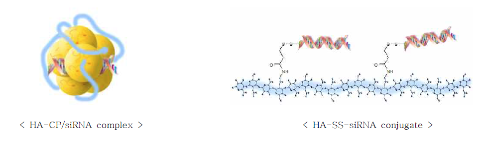 복합체외 siRNA 탑재 모식도.