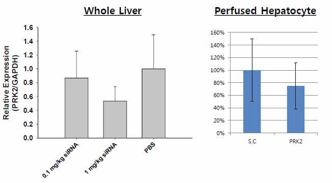 C12-SPM에 탑재된 PRK2 siRNA 마우스 정맥 투여 후 2일 째 측정된 PRK2 발현 정량적 분석.