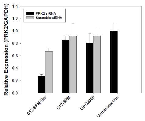 Galactose가 표적리간드로 도입된 C12-SPM 리피도이드 유도체를 이용하여 인간 간세포주 내로 PRK2 siRNA 전달 후 2일째에 수행된 PRK2 발현 정량적 PCR 분석.