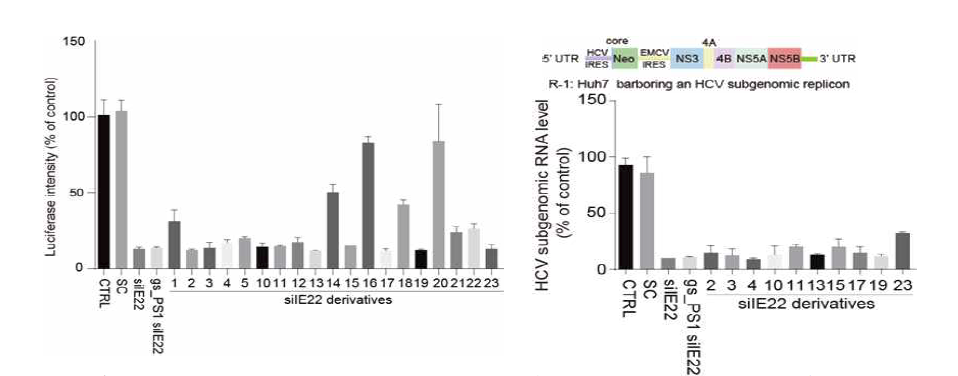 (좌측) 위의 23가지의 서열을 reporter를 지닌 HCV subgenome이 안정적으로 복제되고 있는 세포주에서 항 -HCV 효능을 100 pM에서 분석. (우측) 그림 2 왼쪽 그래프에서 선별된 서열을 HCV subgenome이 복제되고 있는 R-1 세포주에서 항-HCV 효능을 10 nM에서 분석.