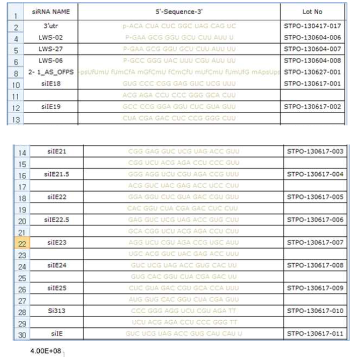 Passenger strand에 수식되어 있는 선별된 서열에 PS수식을 guide strand에 도입