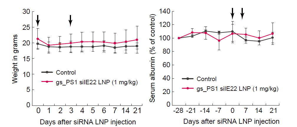 siIE22 LNP으로 제형한 후 인간의 간세포로 치환된 마우스(PhoenixBio)에 꼬리정맥을 통해 3일 간격으로 2회 1 mg/kg 농도로 주입.