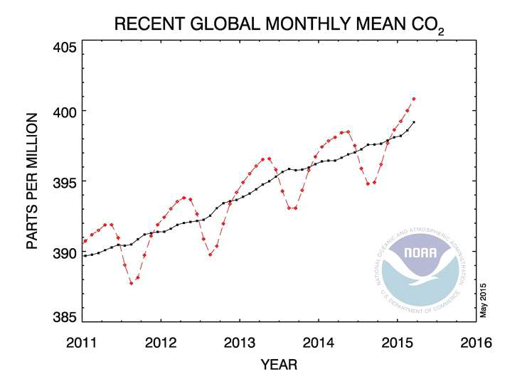2011년 이후의 전 세계 월 평균 이산화탄소 농도 변화 추이