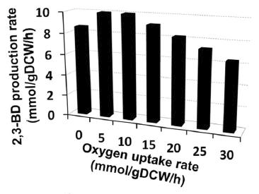 In-silico model 기반 산소 조건에 따른 2,3-BDO 생산 속도 예측