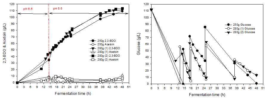 Total Glucose 사용량에 따른 Levo type 2,3-BDO 생산능 변화