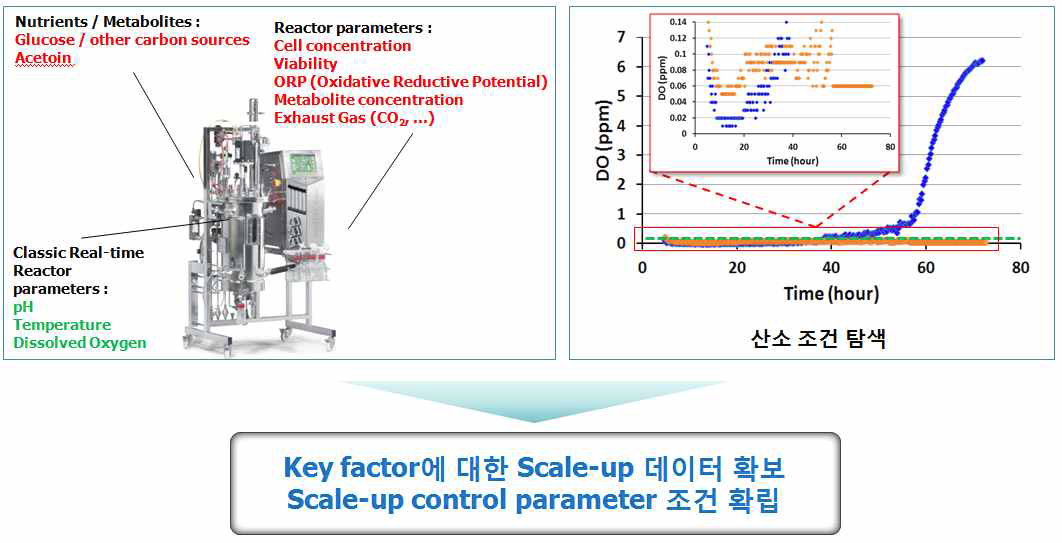 2,3-BDO 발효 시 Key factor에 대한 Scale-up 데이터 확보 및 Scale-up control parameter 조건 확립