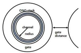 Nanowire 구조 parameter.