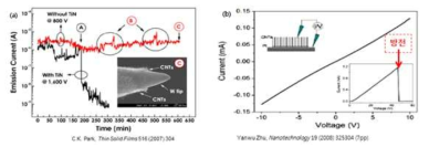 방전으로 인한 CNT 전계방출원의 파괴 및 전계방출 특성
