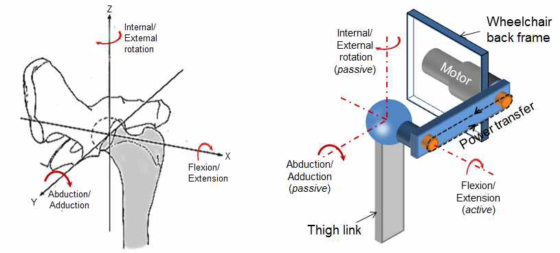인체고관절 구조(좌), 외골격 고관절시스템 구성(우)