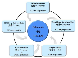 다양한 개질 고무의 반응기와 PA 말단의 반응을 통한 PA기반 TPE 소재 개발 개념도.