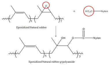 Epoxy 반응기와 carboxylic acid 말단 polyamide6와의 반응 개념도.
