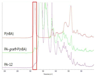 PA12-graft-P(nBA)의 FT-IR spectrum.