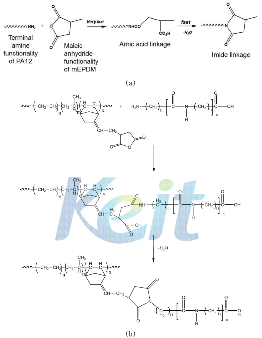 mEPDM의 maleic anhydride와 PA12의 말단 amine과의 반응 상용화 개념도 (a) 및 PA12와 mEPDM의 반응 블렌드 구성도 (b).